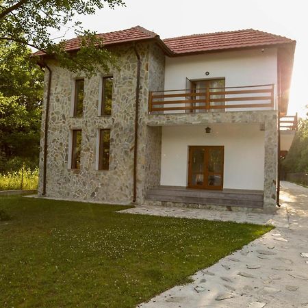 Pensiunea 2 A-Mici Runcu  Exteriér fotografie